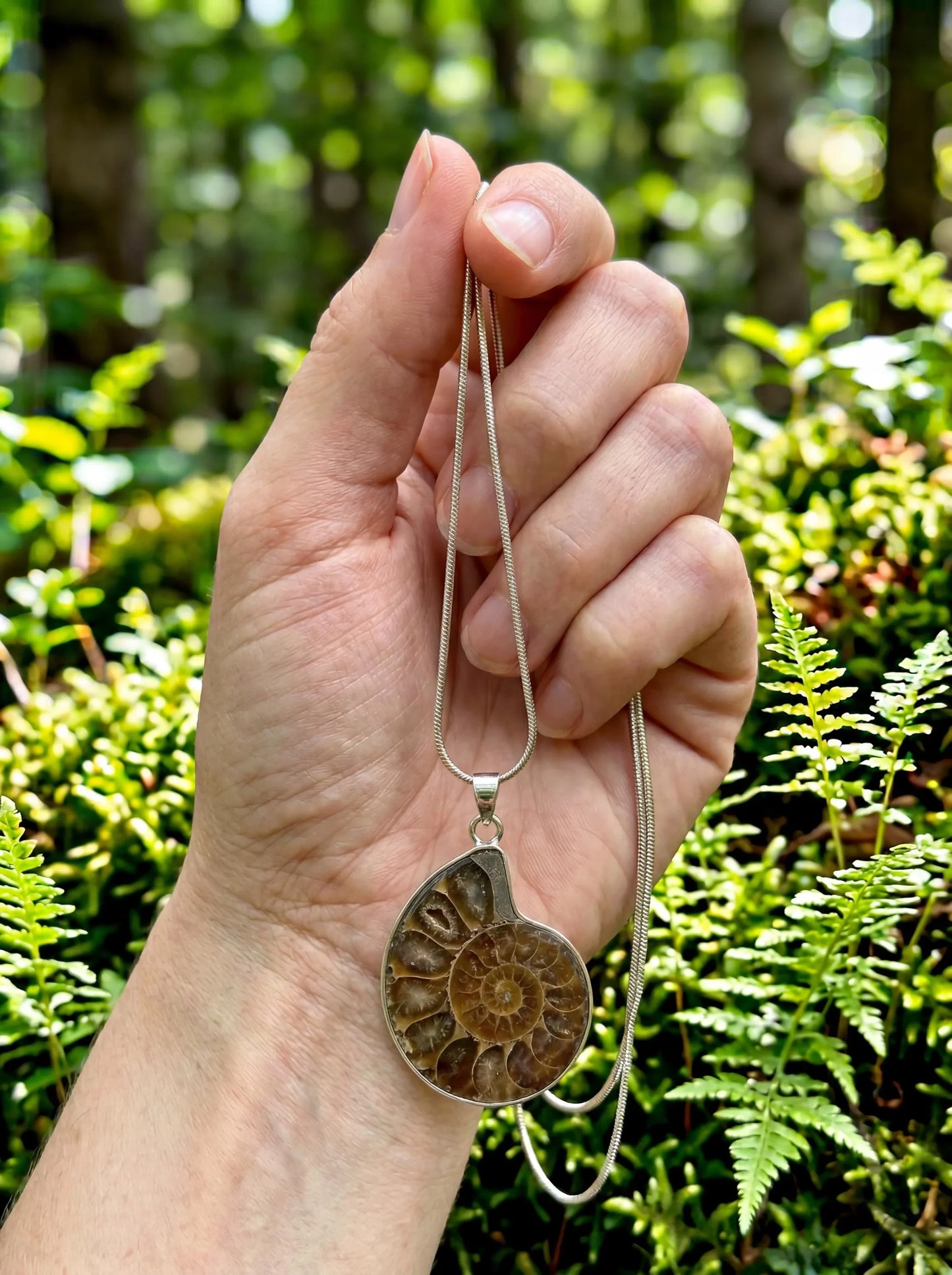 Ammonite Fossil Jewelry Set Necklace & Earrings, Natural Shell Pendant Set, Boho Earthy Jewelry, Spiral Fossil Gift
