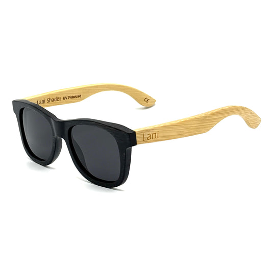 Aina Iwa