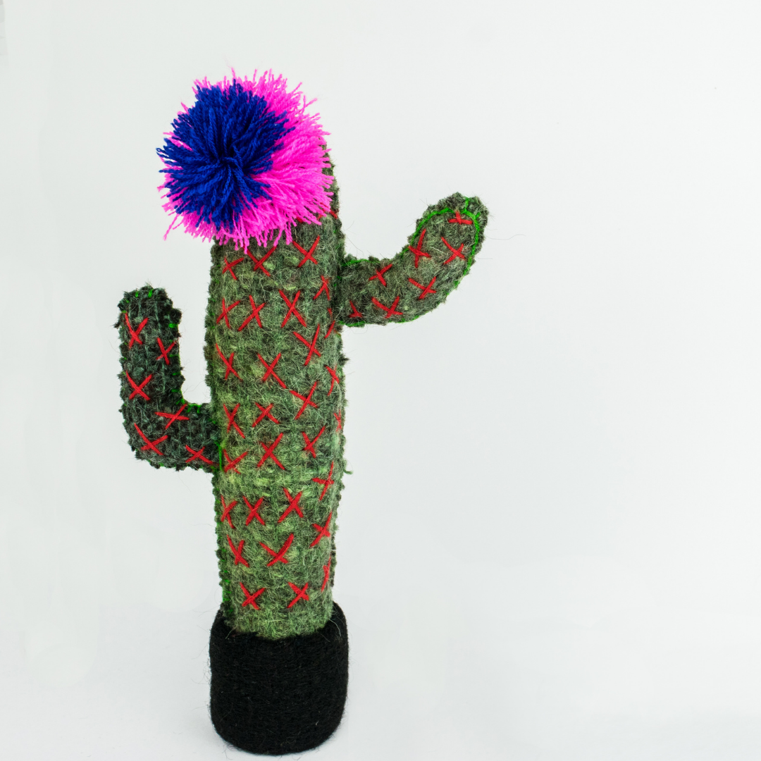 Spike the Cactus: Repurposed Wool Boho Decor - Mexico