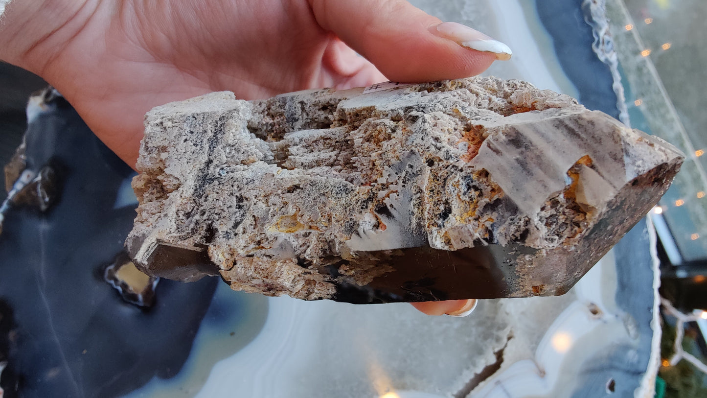 Lodalite Included Smoky Quartz Point from Brazil