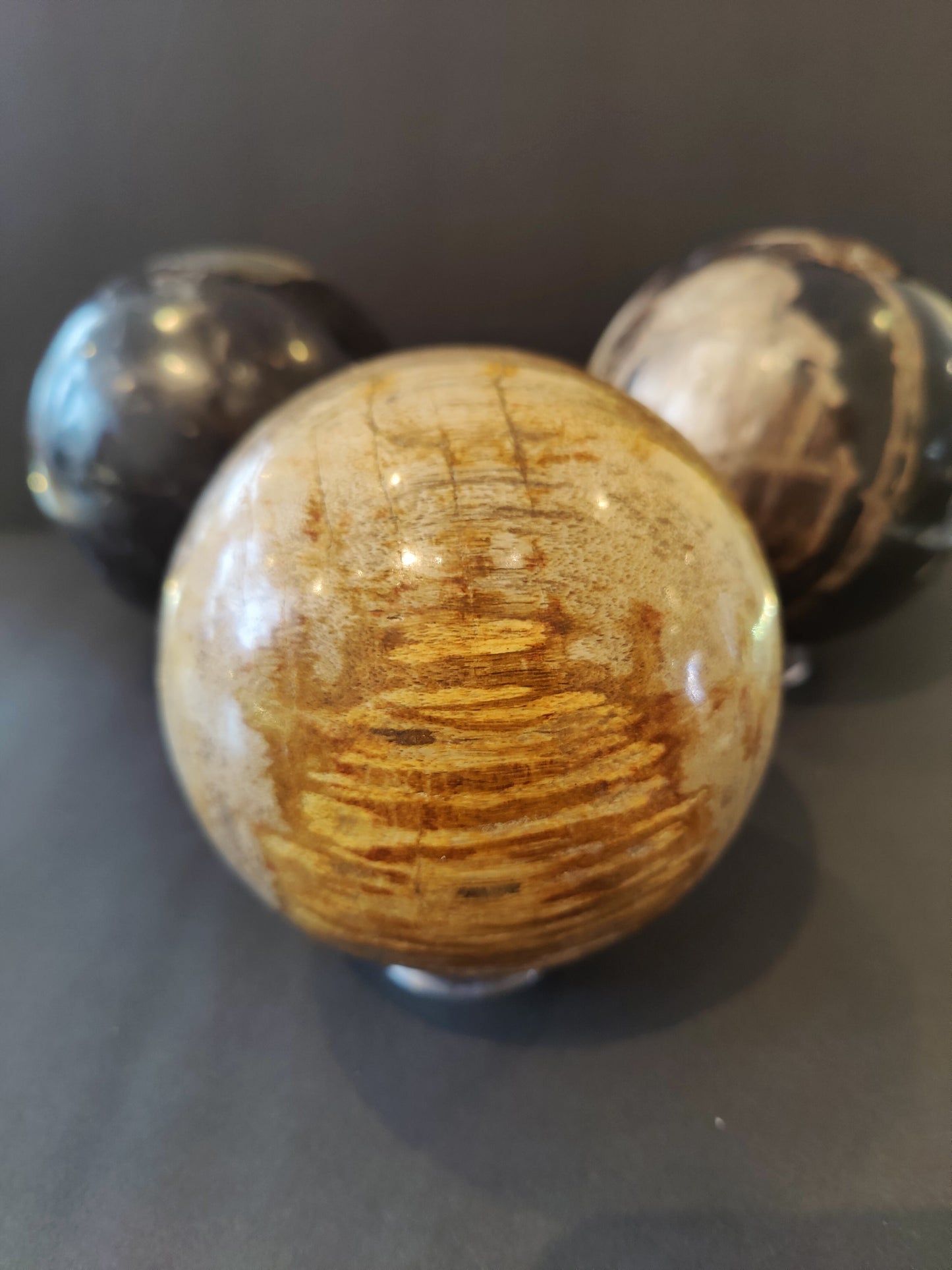 Petrified Wood Sphere