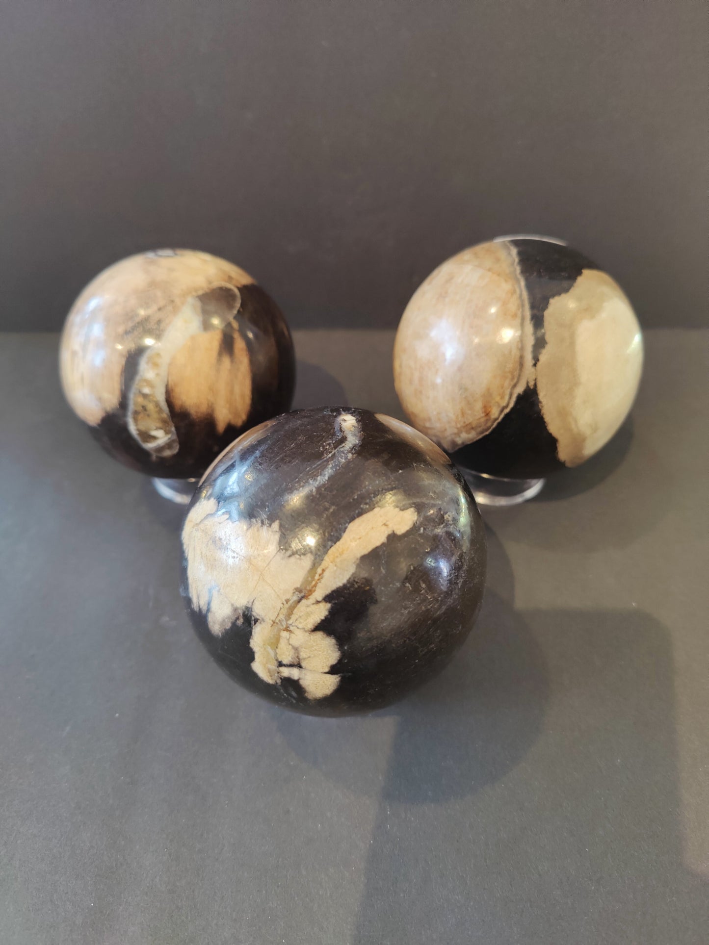 Petrified Wood Sphere