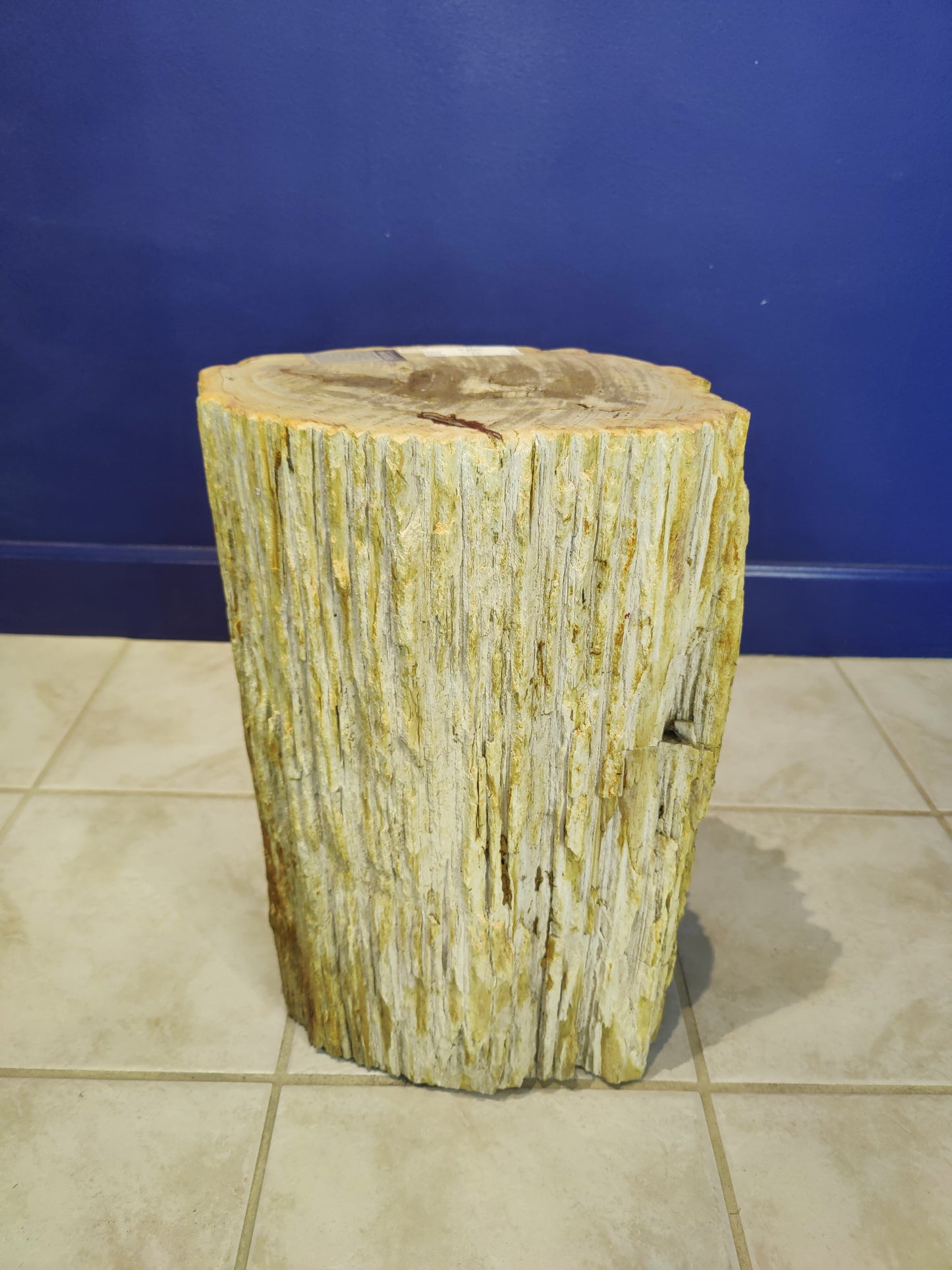 Petrified Wood Pedestal