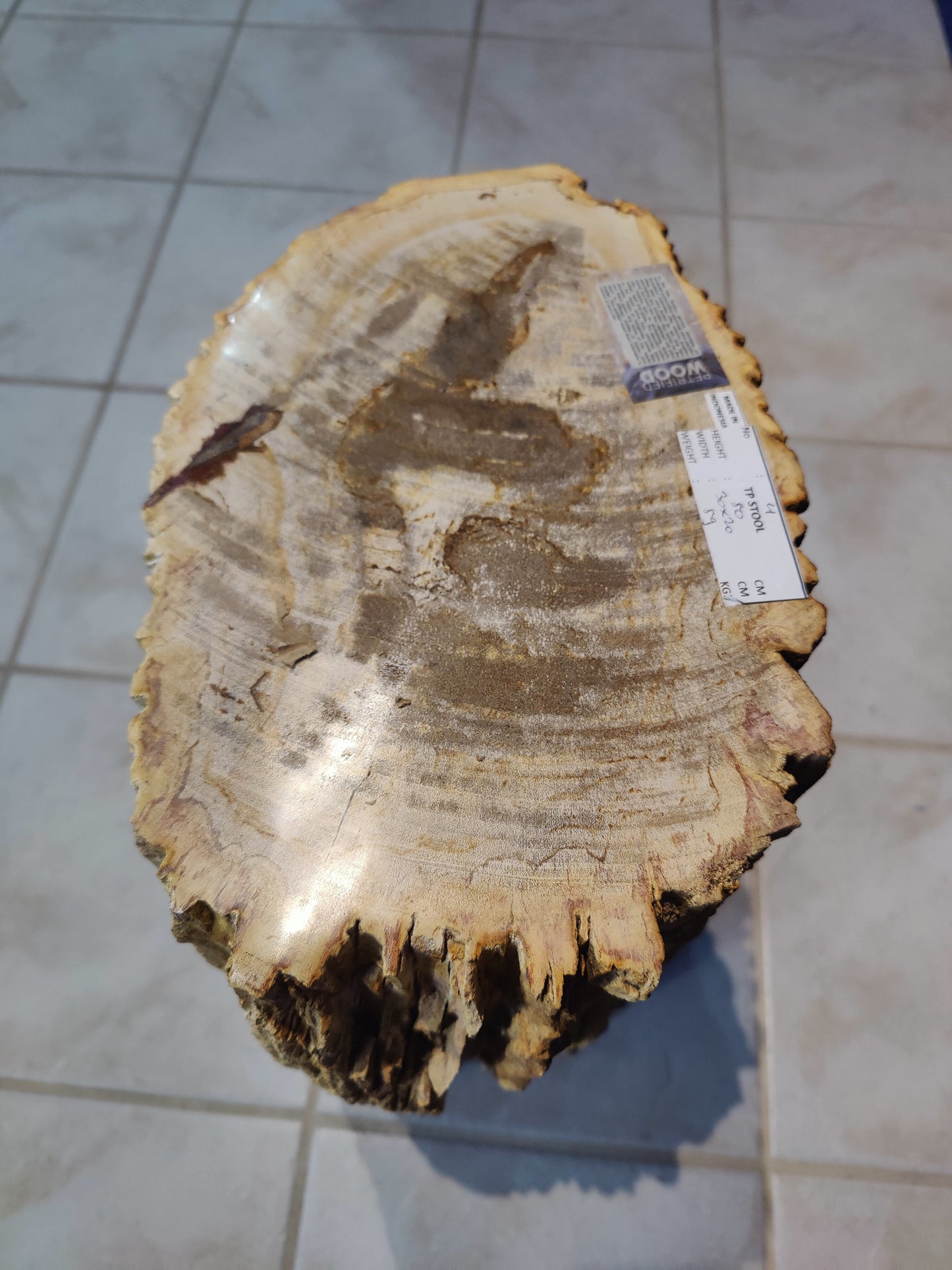 Petrified Wood Pedestal