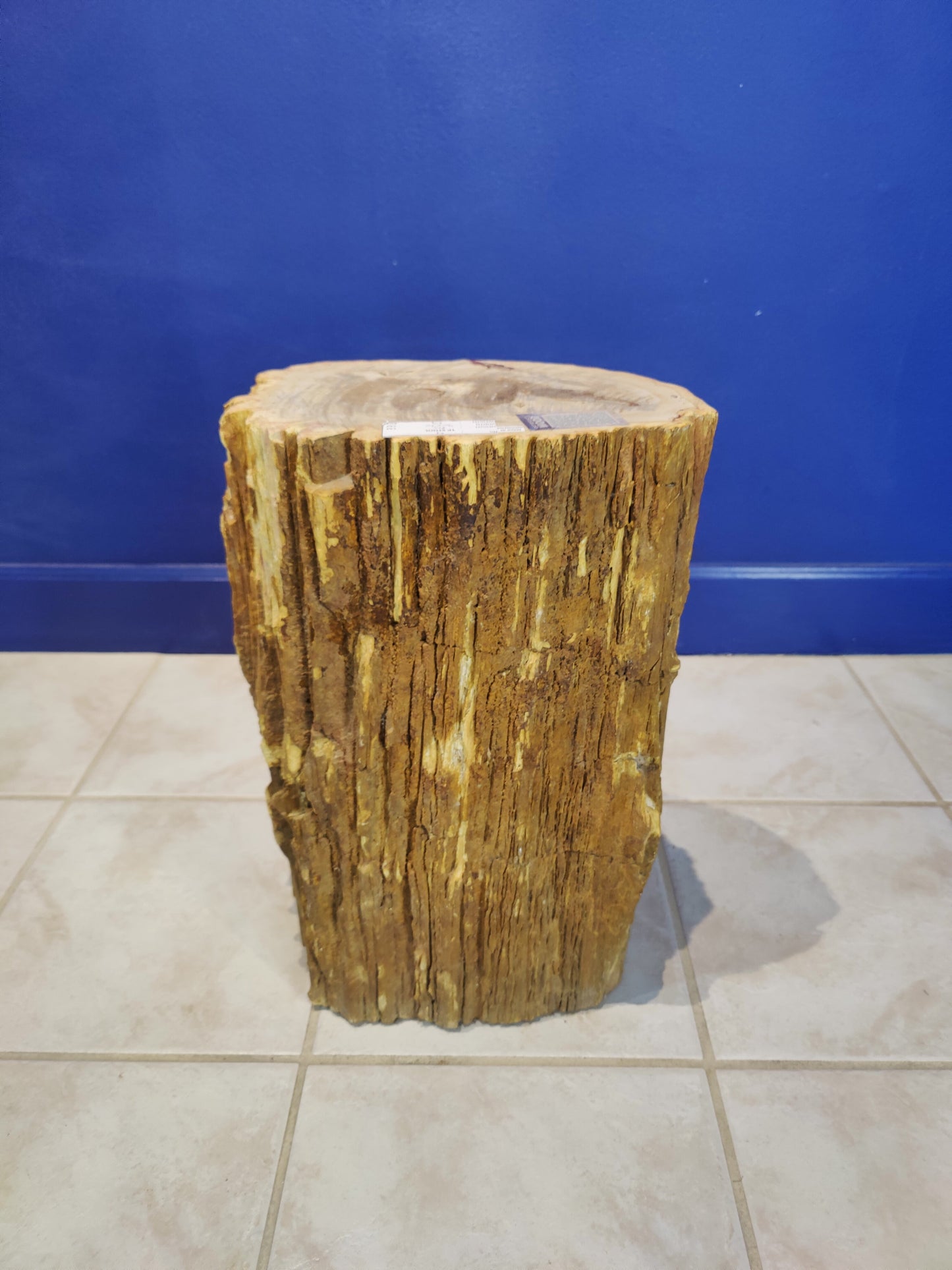 Petrified Wood Pedestal