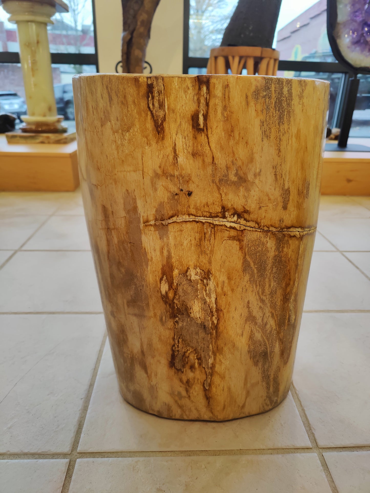 Petrified Wood Pedestal