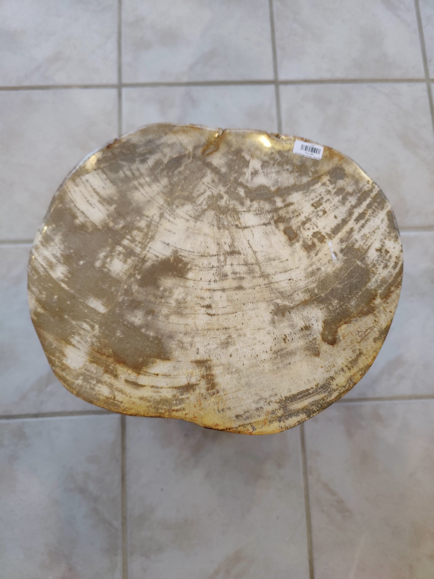Petrified Wood Pedestal