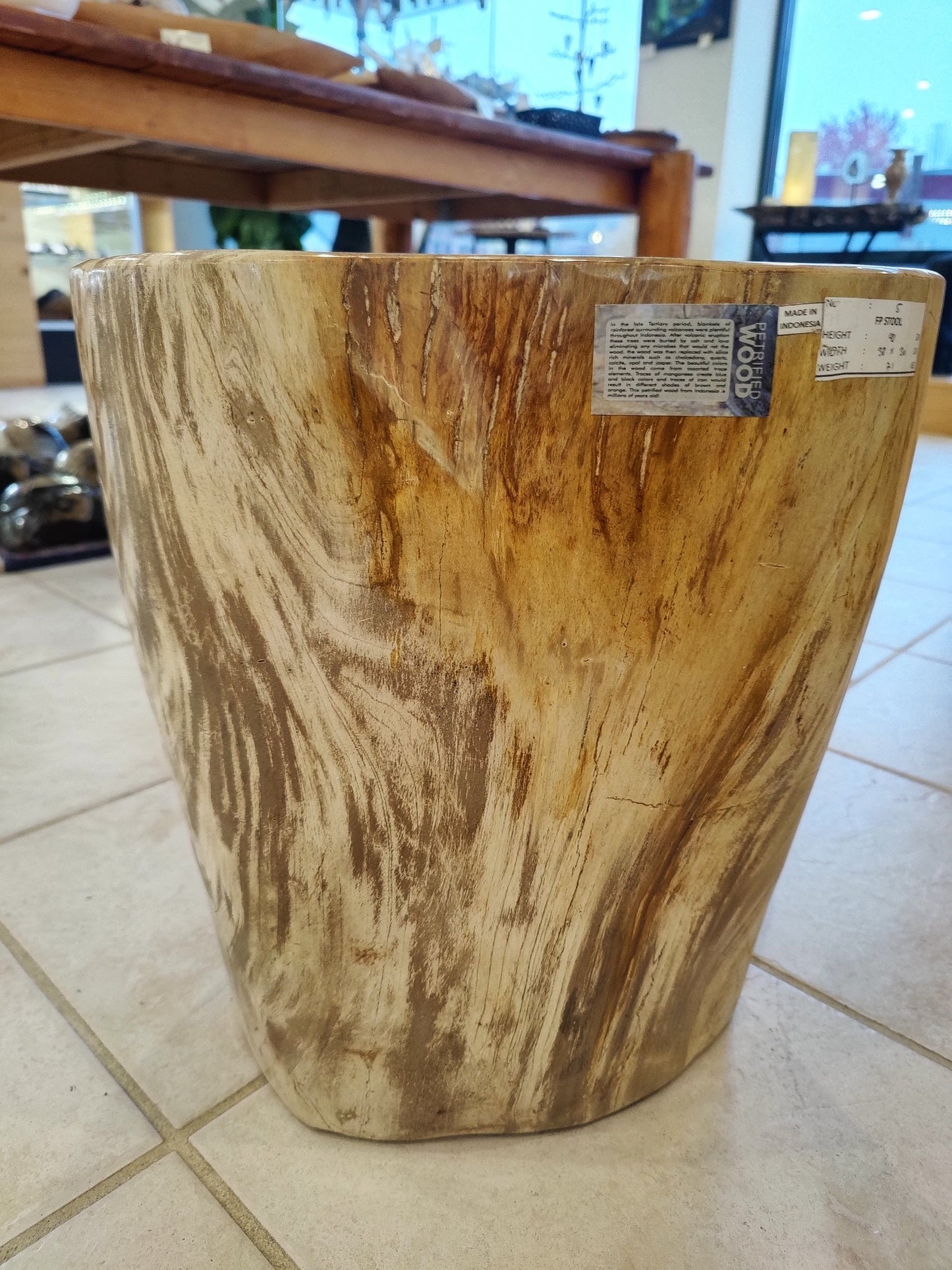 Petrified Wood Pedestal