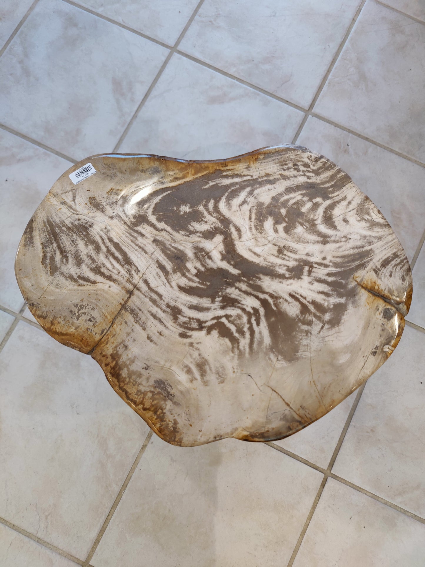 Petrified Wood Pedestal