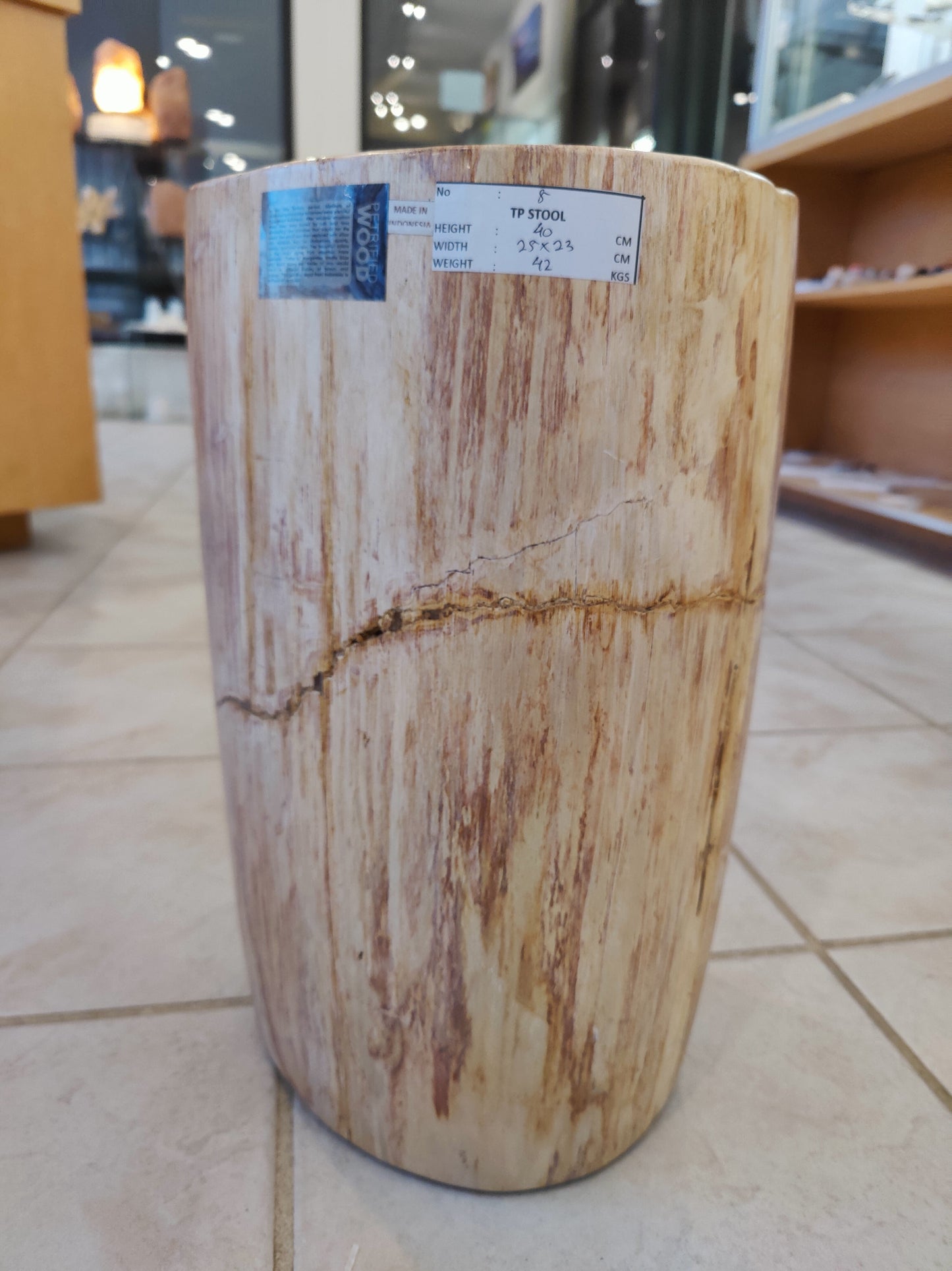 Petrified Wood Pedestal