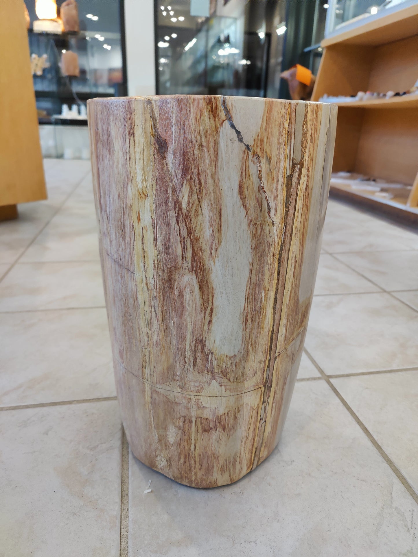 Petrified Wood Pedestal