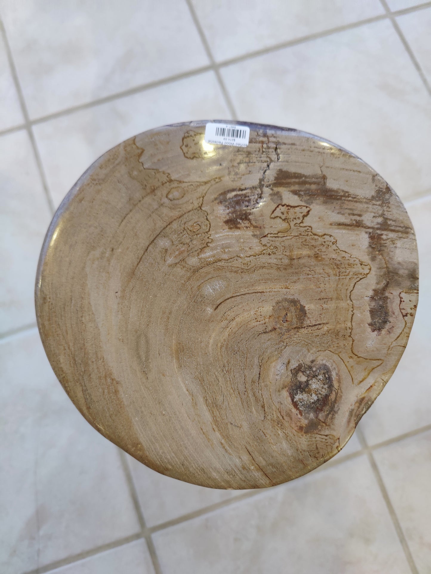 Petrified Wood Pedestal