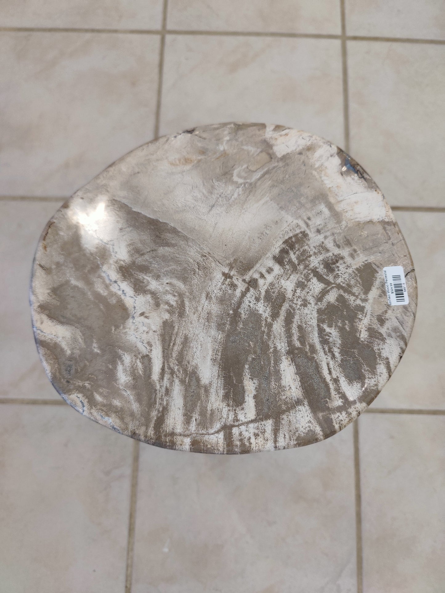 Petrified Wood Pedestal
