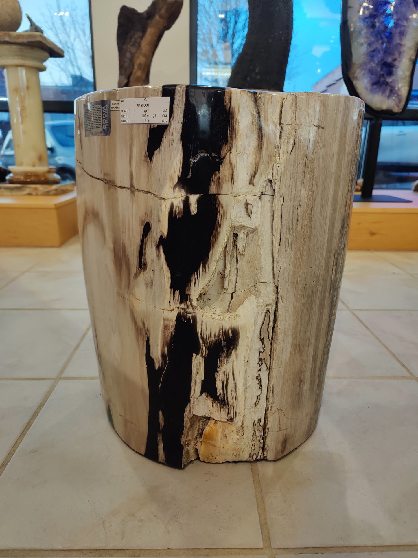 Petrified Wood Pedestal