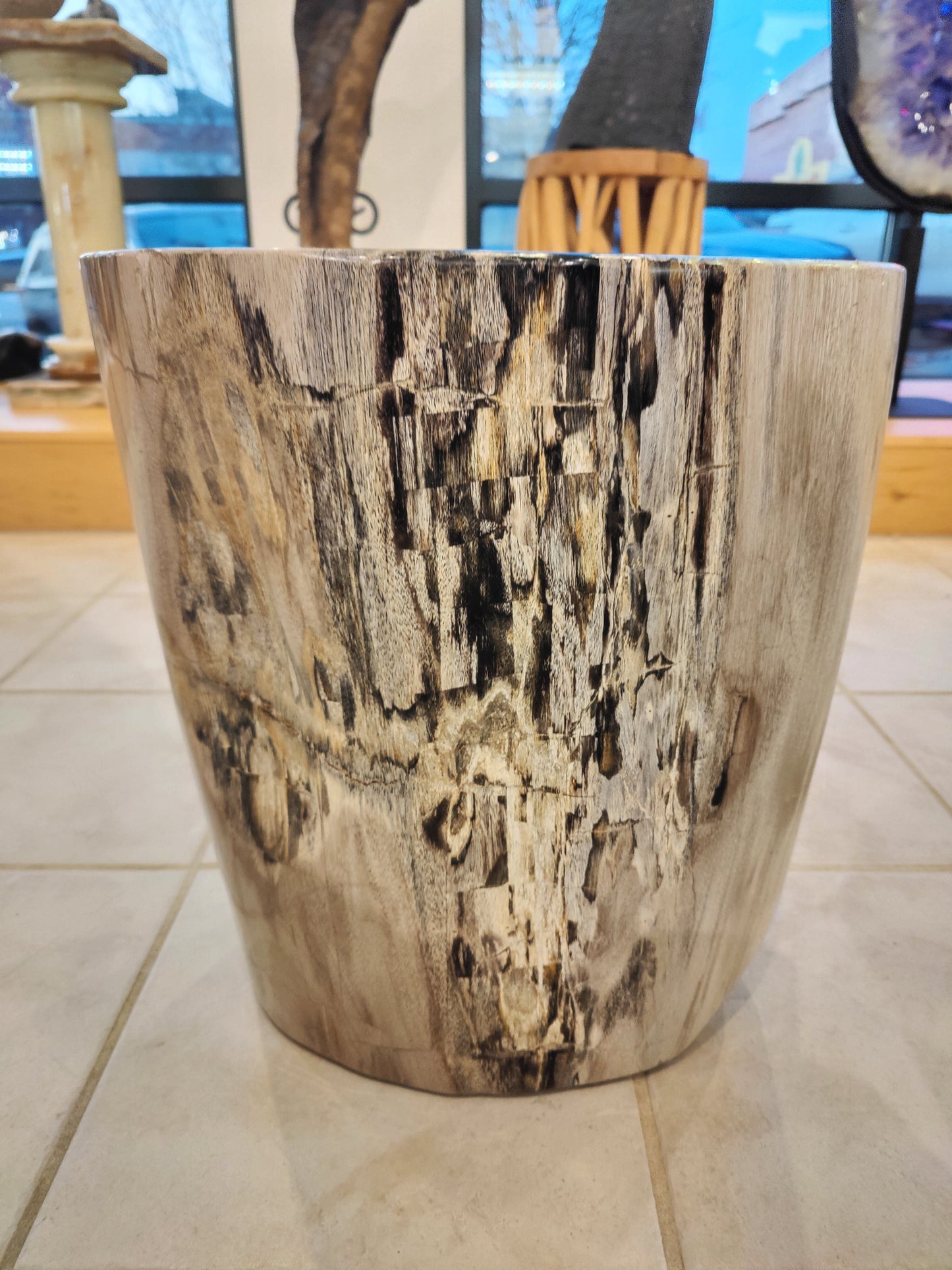 Petrified Wood Pedestal
