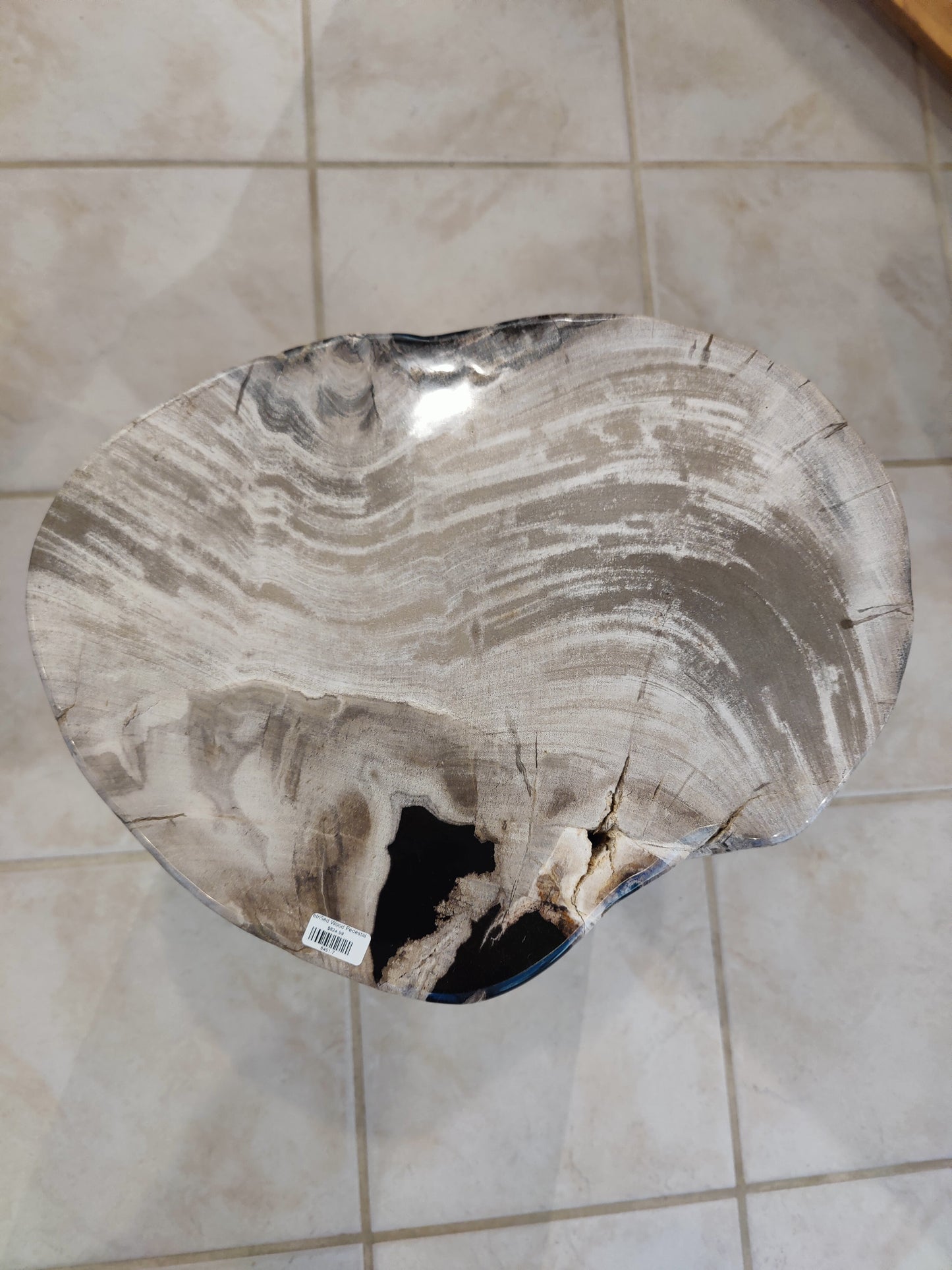 Petrified Wood Pedestal