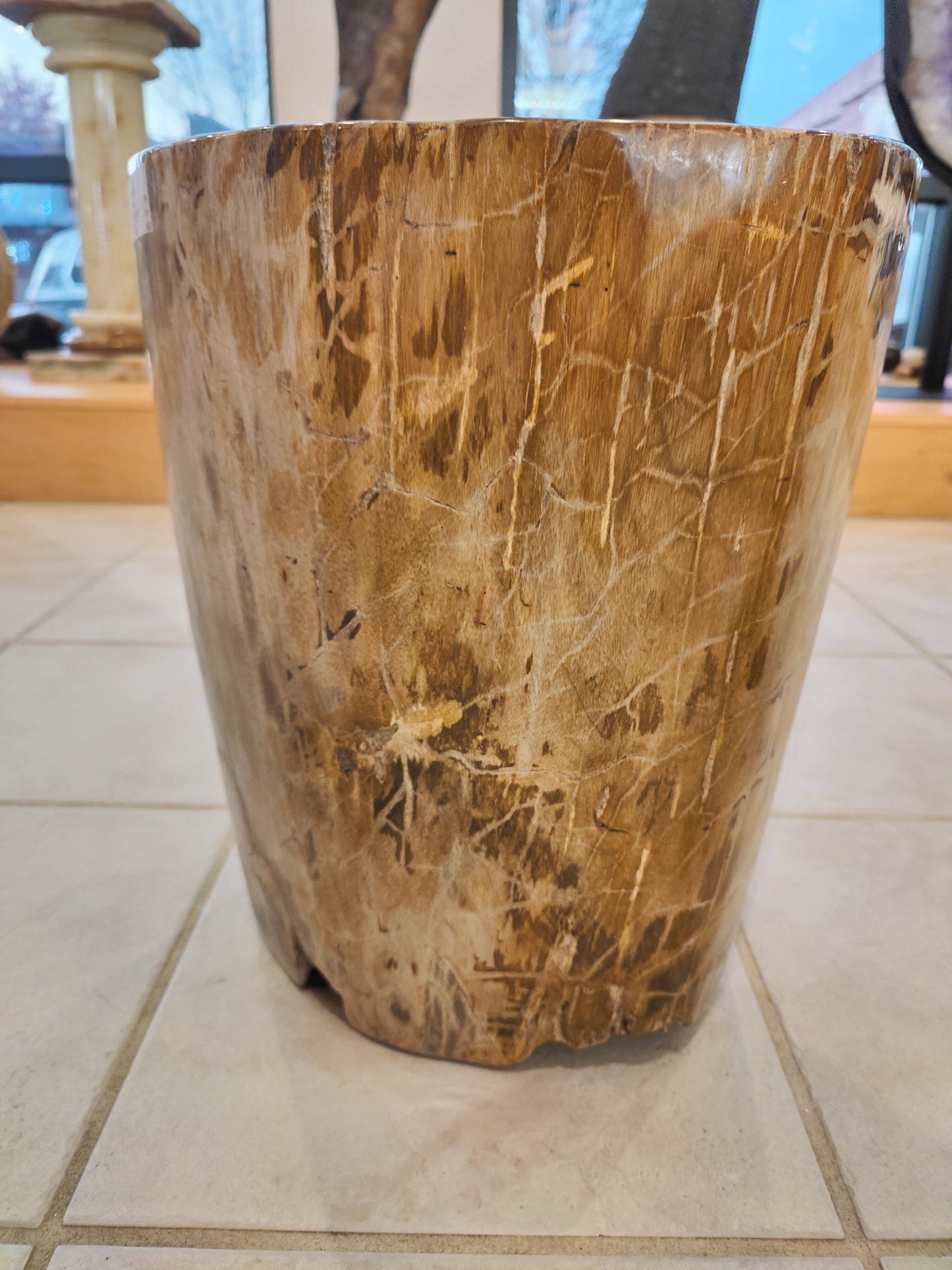 Petrified Wood Pedestal
