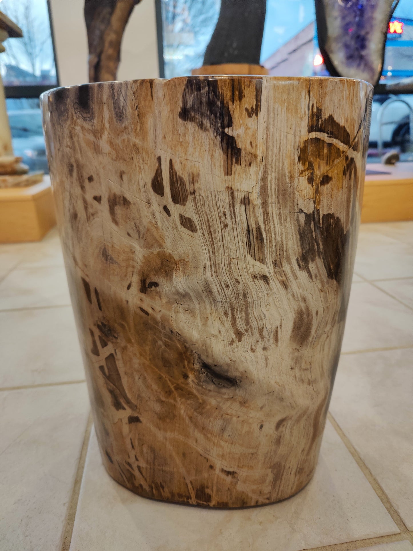 Petrified Wood Pedestal