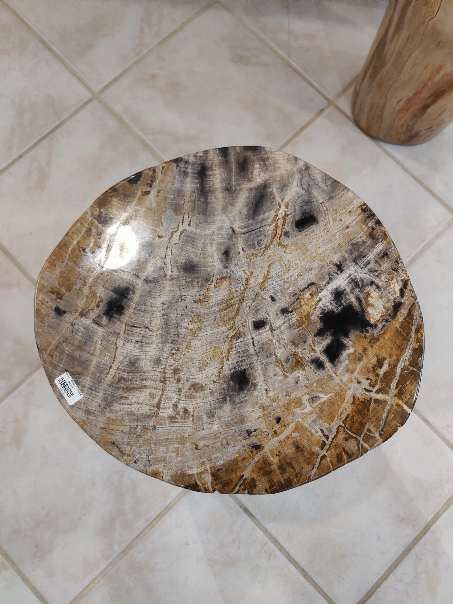 Petrified Wood Pedestal
