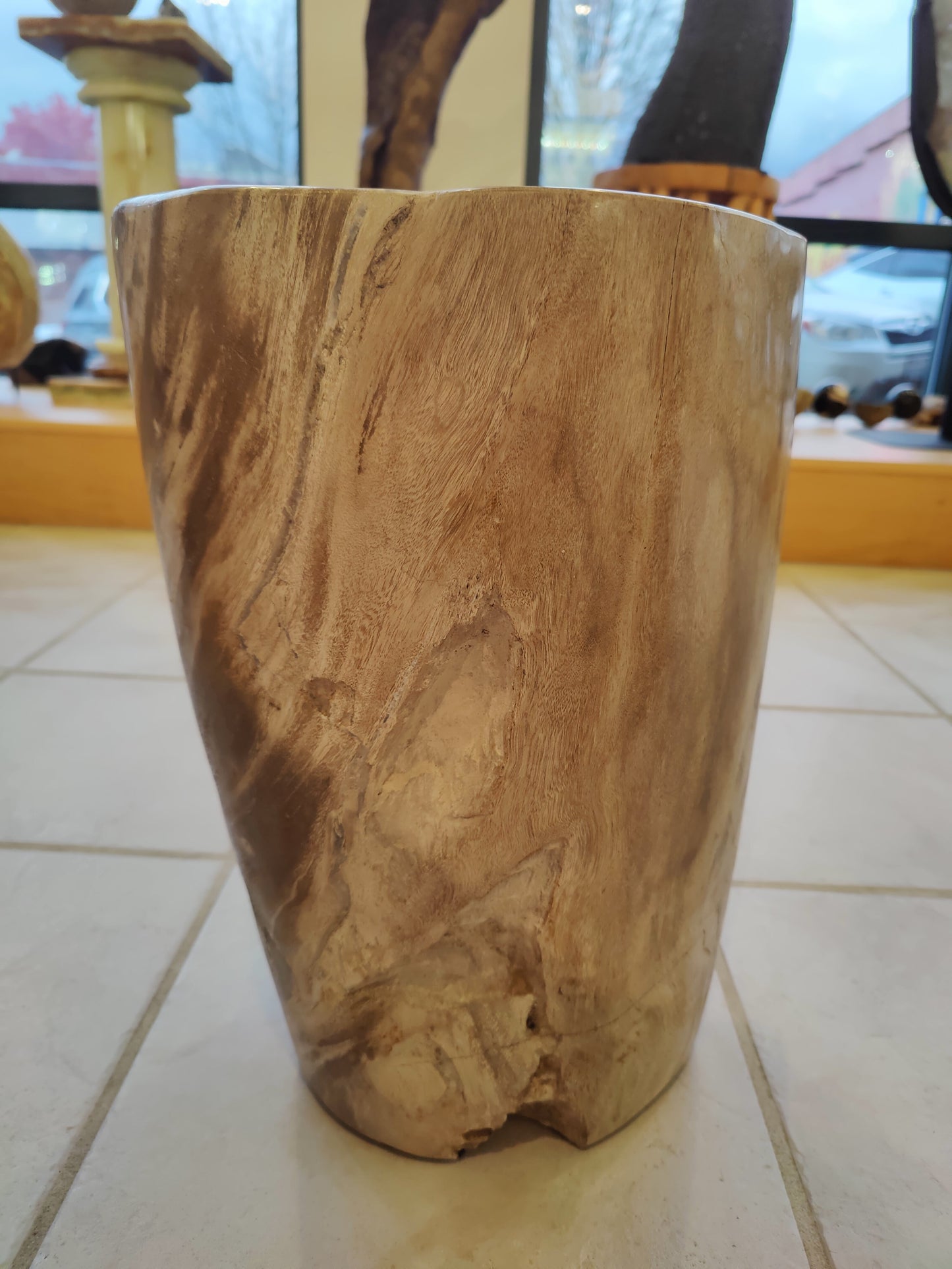 Petrified Wood Pedestal