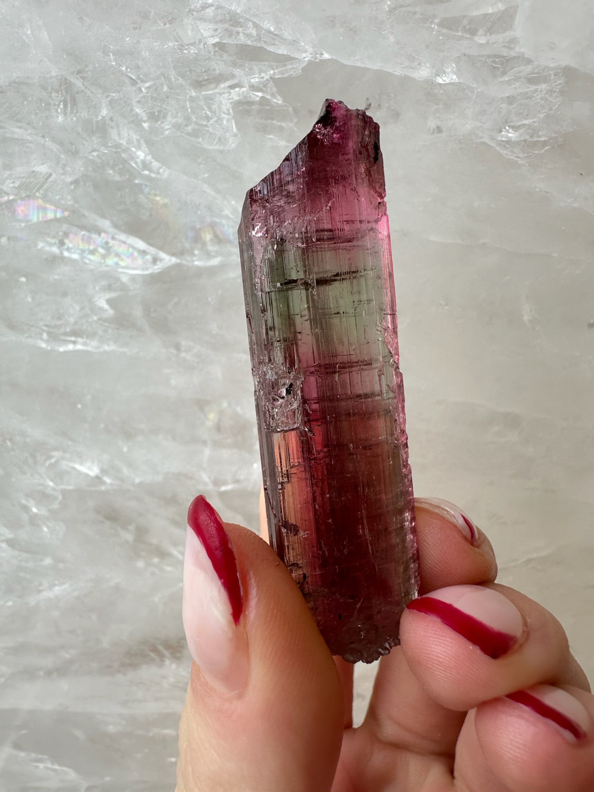 Watermelon Tourmaline from Brazil