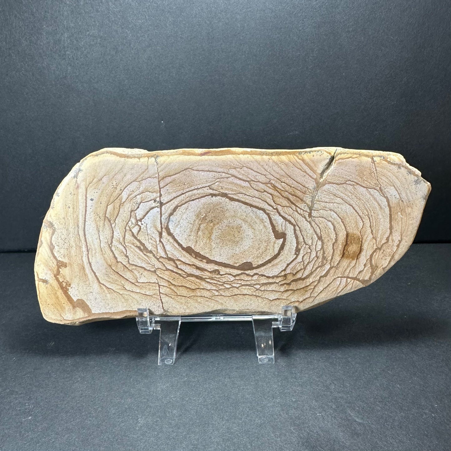 Picture Jasper Plate (L) from Morocco