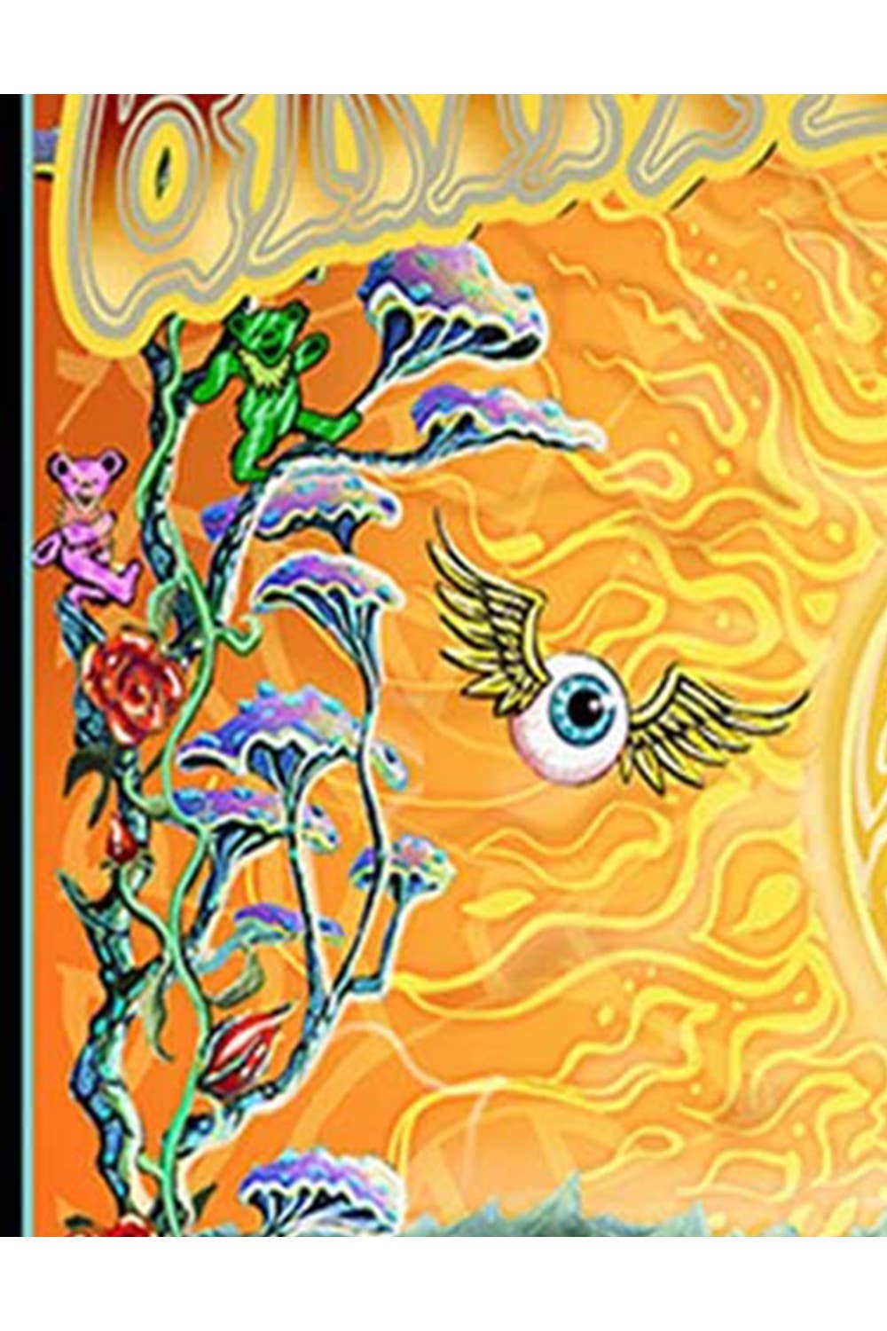 Heady Art Print Tapestry Grateful Dead Golden Road: 30x45 inches