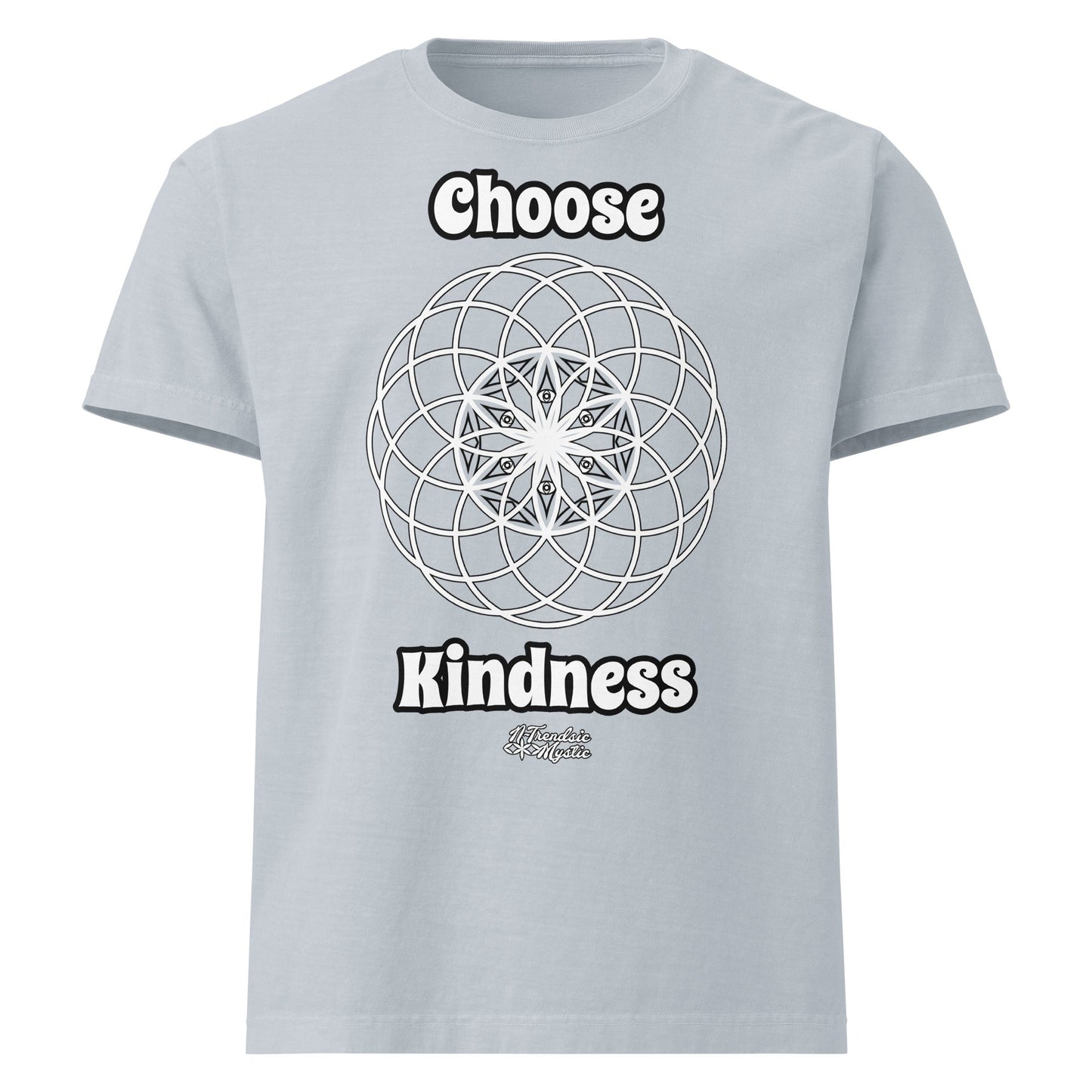 Choose Kindness | Unisex Oversized T-Shirt